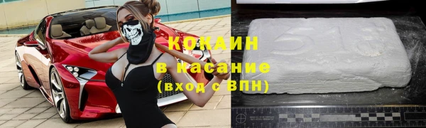 индика Семикаракорск