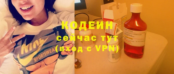 индика Семикаракорск