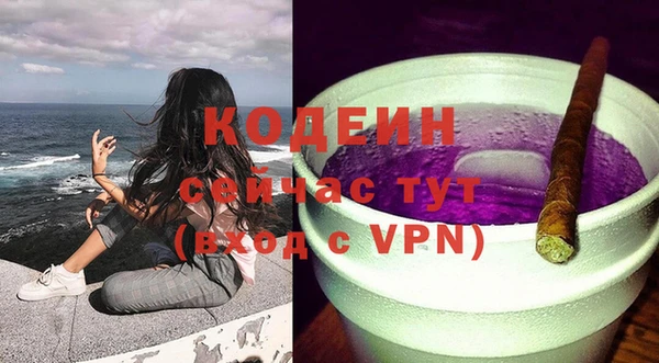 индика Семикаракорск
